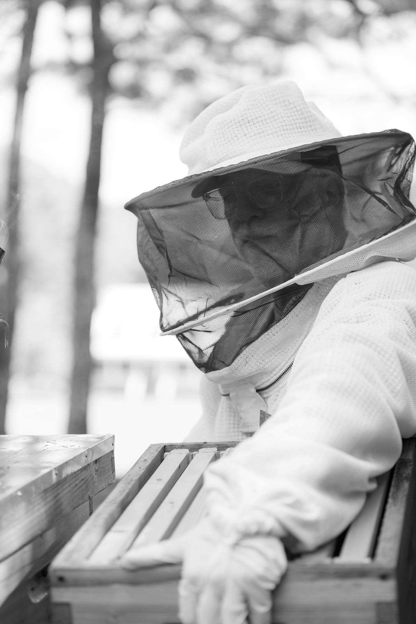 A beekeeper in quiet focus at the hives — black and white