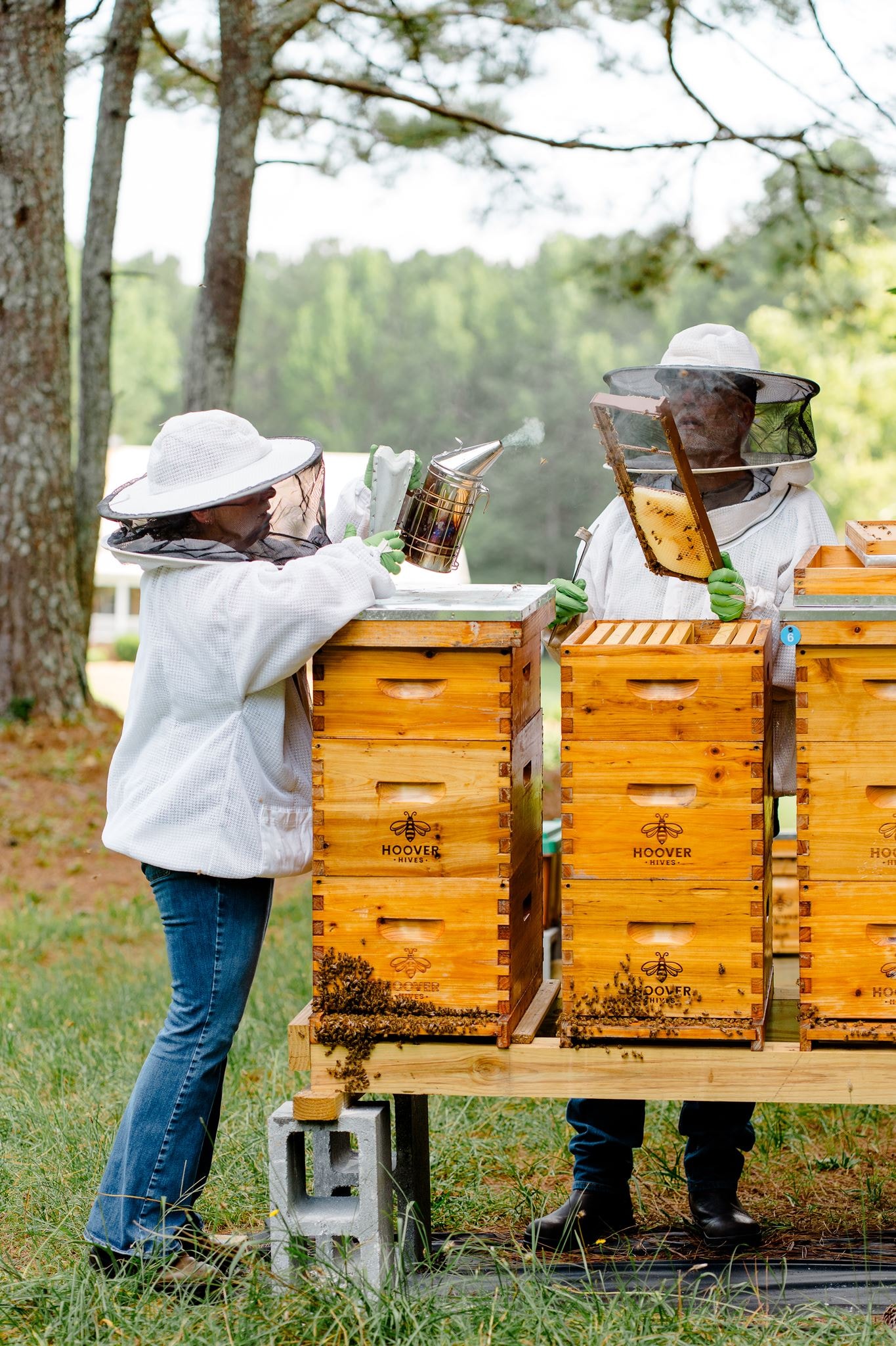 The Georgia Hive & Honey family examining a frame of bees together