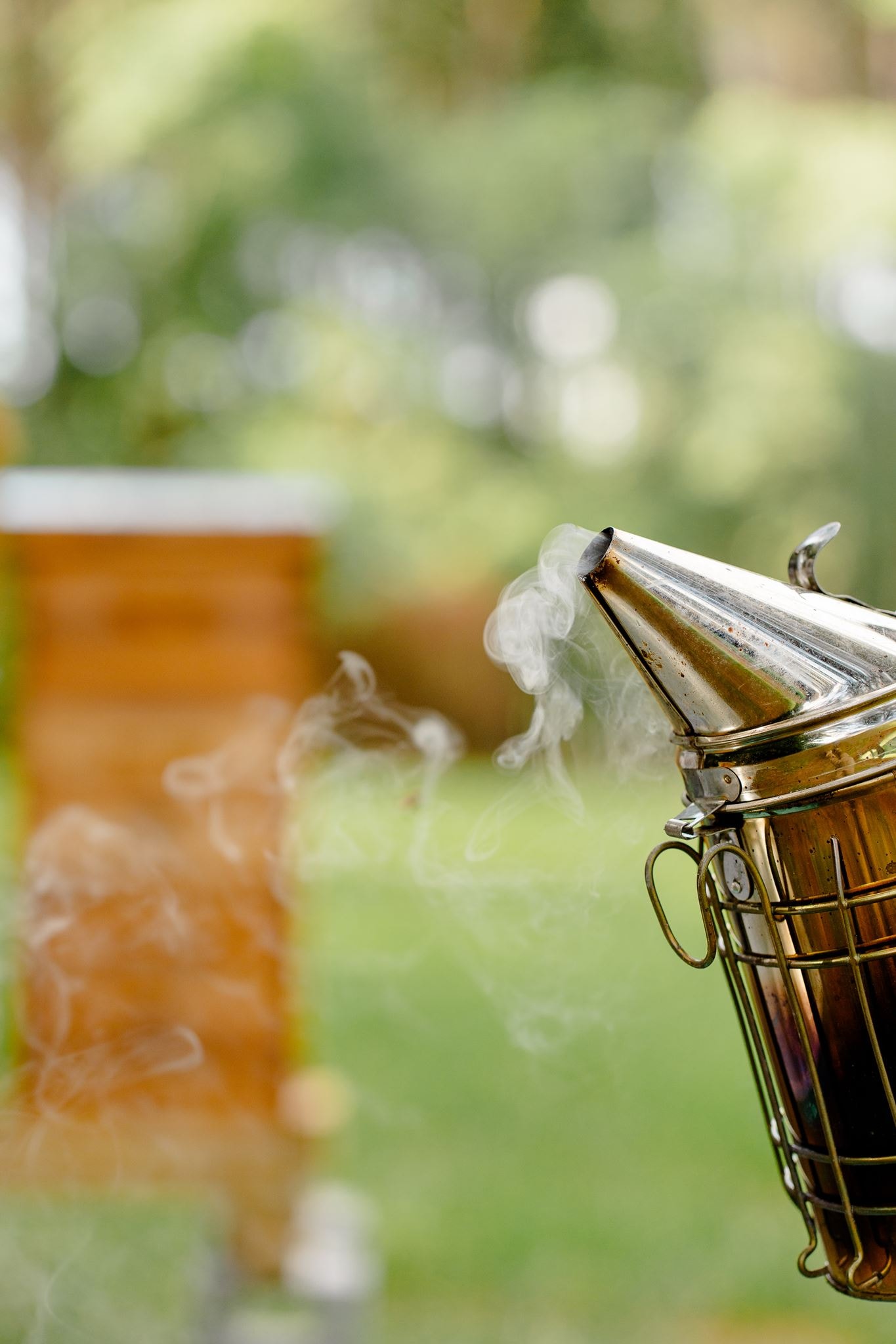 A beekeeper's smoker with rising smoke at the Georgia Hive & Honey apiary