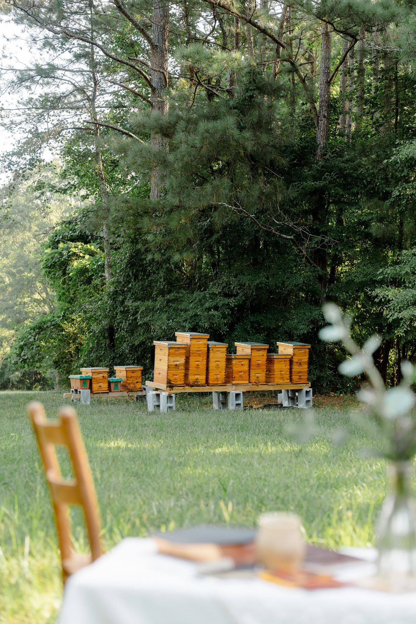 Clover Honey