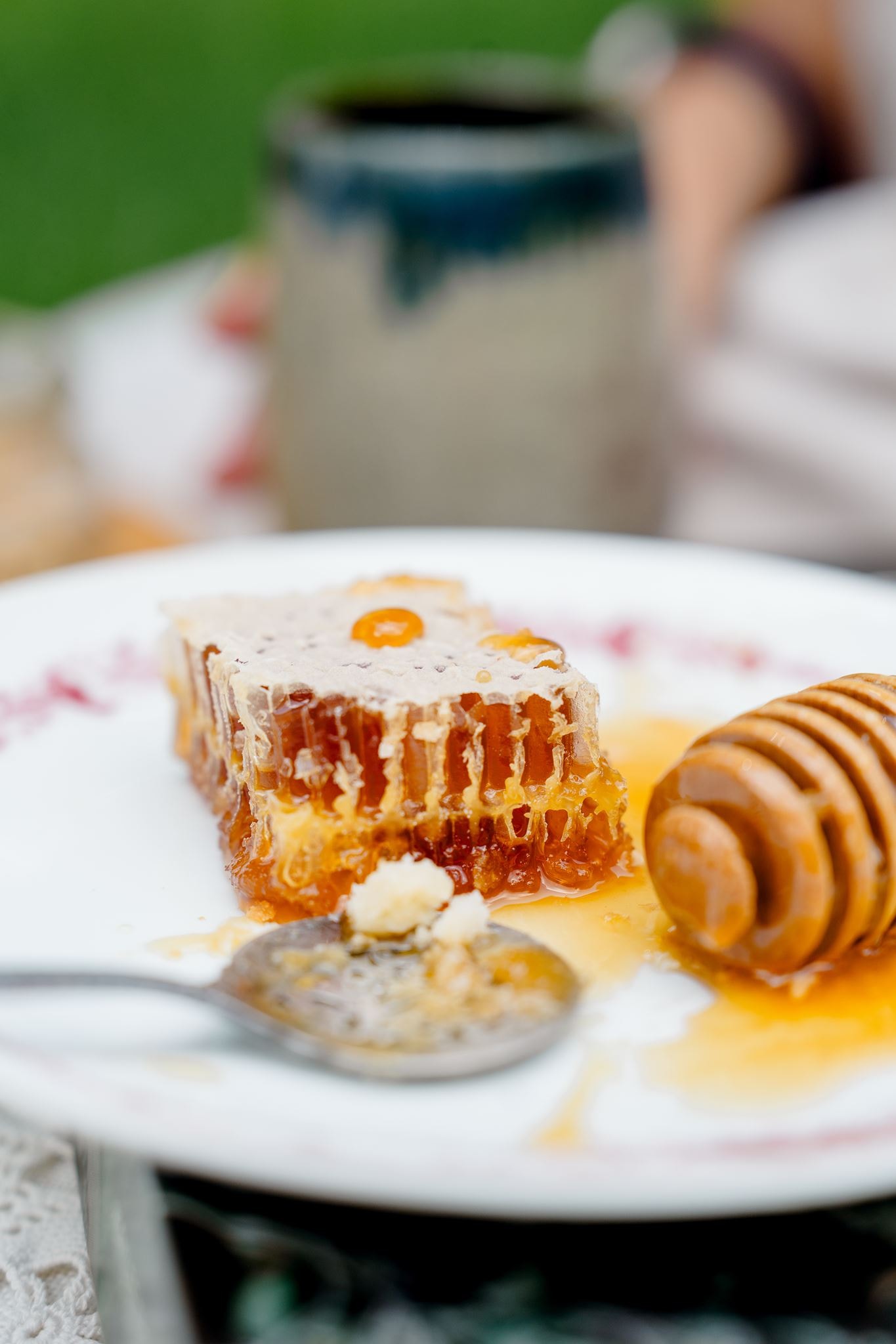 Raw Comb Honey